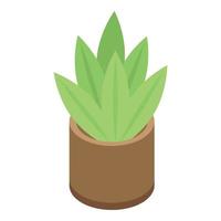 icône de plante en pot succulente, style isométrique vecteur