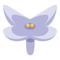 icône de fleur de lilas blanc, style isométrique vecteur