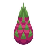 icône pitaya entière, style isométrique vecteur