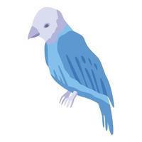 icône de perroquet bleu blanc, style isométrique vecteur