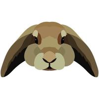 illustration vectorielle du visage d'un lapin de dessin animé mignon. icône graphique de vecteur de lapin mignon. tête d'animal de lapin, illustration du visage. isolé sur fond blanc