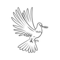 colombe paix illustration vecteur