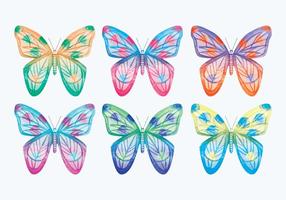 Collection Butterfly Butterfly vecteur