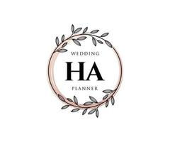 ha initiales lettre mariage monogramme logos collection, modèles minimalistes et floraux modernes dessinés à la main pour cartes d'invitation, réservez la date, identité élégante pour restaurant, boutique, café en image vectorielle vecteur