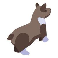 icône de chien corgi brun, style isométrique vecteur