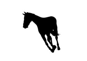 conception graphique silhouette cheval isolé fond blanc illustration vectorielle vecteur