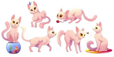 ensemble de personnages de dessins animés drôles de chats blancs vecteur