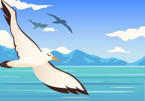 Albatros Bird Flying vecteur
