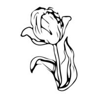 fleur un dessin au trait. style minimaliste floral. symbole naturel. impression botanique. dessin au trait continu. imprimé fleurs. dessin botanique minimaliste. vecteur eps 10.