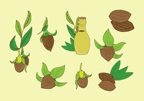 Vector de plante de jojoba