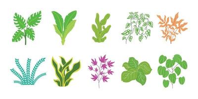 10 plantes vecteur