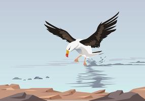 Flying Albatross At Sea Vector