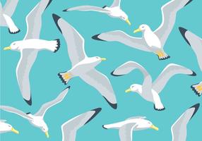 Fond d'illustration d'Albatros vecteur