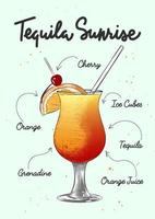 illustration de cocktail tequila sunrise de style gravé vectoriel pour affiches, décoration, logo et impression. croquis dessiné à la main avec lettrage et recette, ingrédients de la boisson. dessin coloré détaillé.