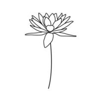 fleur de nénuphar. plante de vecteur de contour isolée sur blanc