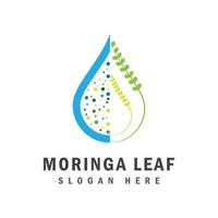 moringa feuille logo modèle vecteur symbole nature