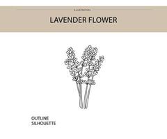 vecteur de silhouette de fleur de lavande