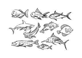 Free Fish Sketch Icon Vector