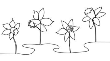 un seul dessin au trait de narcisse frais de beauté pour le logo du jardin. fleur de jonquille décorative imprimable vecteur