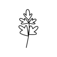 contour de l'icône de vecteur d'herbe de persil sur fond blanc.