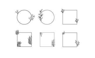cadre vectoriel décoratif floral. cercle et cadre en forme de carré. ornements élégants.