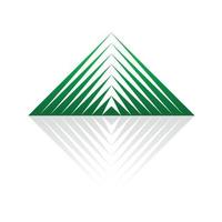 logo pyramide verte vecteur