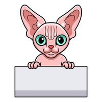dessin animé mignon chat sphynx tenant une pancarte blanche vecteur