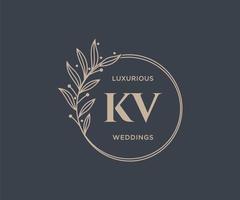 modèle de logos de monogramme de mariage lettre initiales kv, modèles minimalistes et floraux modernes dessinés à la main pour cartes d'invitation, réservez la date, identité élégante. vecteur