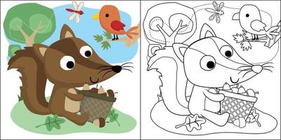 dessin vectoriel de dessin animé d'animaux des bois, écureuil avec beaucoup de noix, livre de coloriage ou page