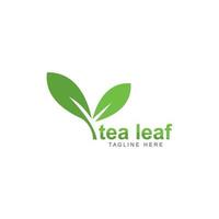 feuille de thé logo vecteur icône illustration