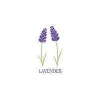lavande floral aromatique logo vecteur icône illustration