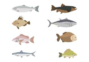 Vecteurs de poisson plat