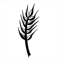 épillet. illustration vectorielle botanique d'une plante dans un style doodle vecteur