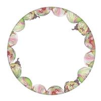 arrangement de cadre de cercle aquarelle avec des fleurs, des bourgeons et des feuilles de pivoine rose délicate dessinés à la main. isolé sur fond blanc. pour les invitations, les mariages, les cartes d'amour ou de voeux, le papier, l'impression, le textile vecteur