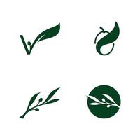 modèle de conception de beauté et spa logo huile d'olive vecteur