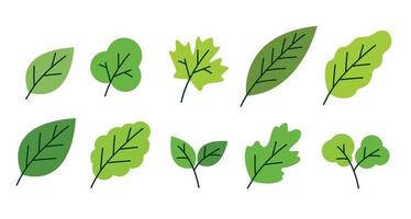 illustration vectorielle d'éléments de feuilles vertes simples vecteur