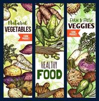bannières d'aliments sains, légumes exotiques vecteur