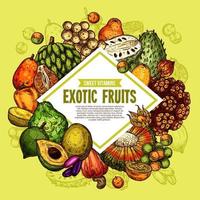 affiche de vecteur de fruits tropicaux exotiques