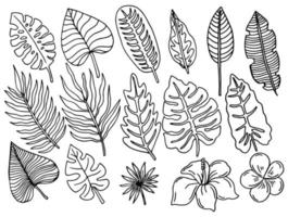 collection de feuilles tropicales. illustrations dessinées à la main de feuilles de palmier et de monstère. icônes vectorielles isolées. vecteur