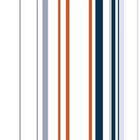 Le tissu sans couture à motif de rayures bayadère imprime un motif à rayures avec une disposition symétrique, dans laquelle des rayures colorées généralement verticales sont disposées autour d'un centre. vecteur