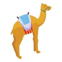 vecteur isométrique d'icône de désert de chameau. tente arabe