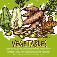 légumes exotiques et racines comestibles, vecteur