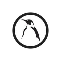 logo animal pingouin vecteur