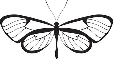 illustration de papillon, dessin au trait noir vecteur