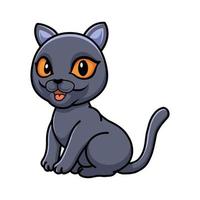 mignon, british shorthair, chat, dessin animé, séance vecteur