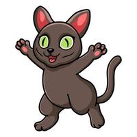 dessin animé mignon chat korat levant les mains vecteur