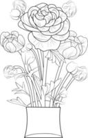 fleurs de fleurs de rununchulas et branche d'illustration vectorielle de vase. dessin à la main illustration vectorielle pour le livre de coloriage ou la page d'art à l'encre gravée en noir et blanc, pour les enfants ou les adultes. vecteur