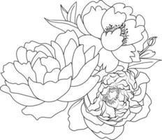 modèle vectoriel floral facile dans le style de croquis de fleurs de pivoine.