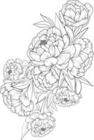 bouquet de fleurs de pivoine, illustration de croquis vectoriel dessiné à la main de fleurs isolées, branche de collection botanique de bourgeons de feuilles collection naturelle page de coloriage bouquets de fleurs gravé art à l'encre.