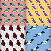 ensemble de jolis motifs sans couture avec des oiseaux hivernants. motifs colorés pour toute utilisation. illustration vectorielle vecteur